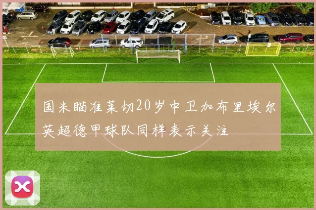 国米瞄准莱切20岁中卫加布里埃尔英超德甲球队同样表示关注