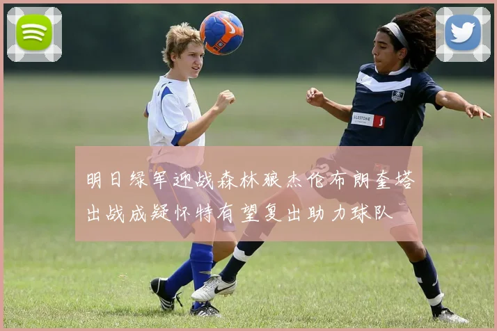 明日绿军迎战森林狼杰伦布朗奎塔出战成疑怀特有望复出助力球队
